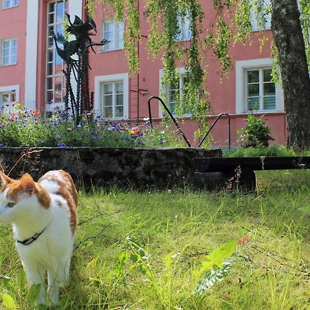 Vanha Koulu Suolahti Zewnętrze zdjęcie