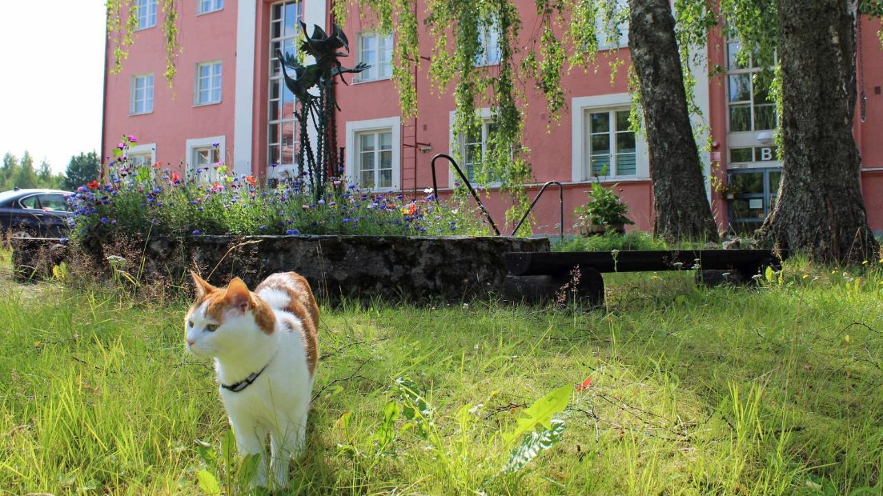 Vanha Koulu Suolahti Zewnętrze zdjęcie